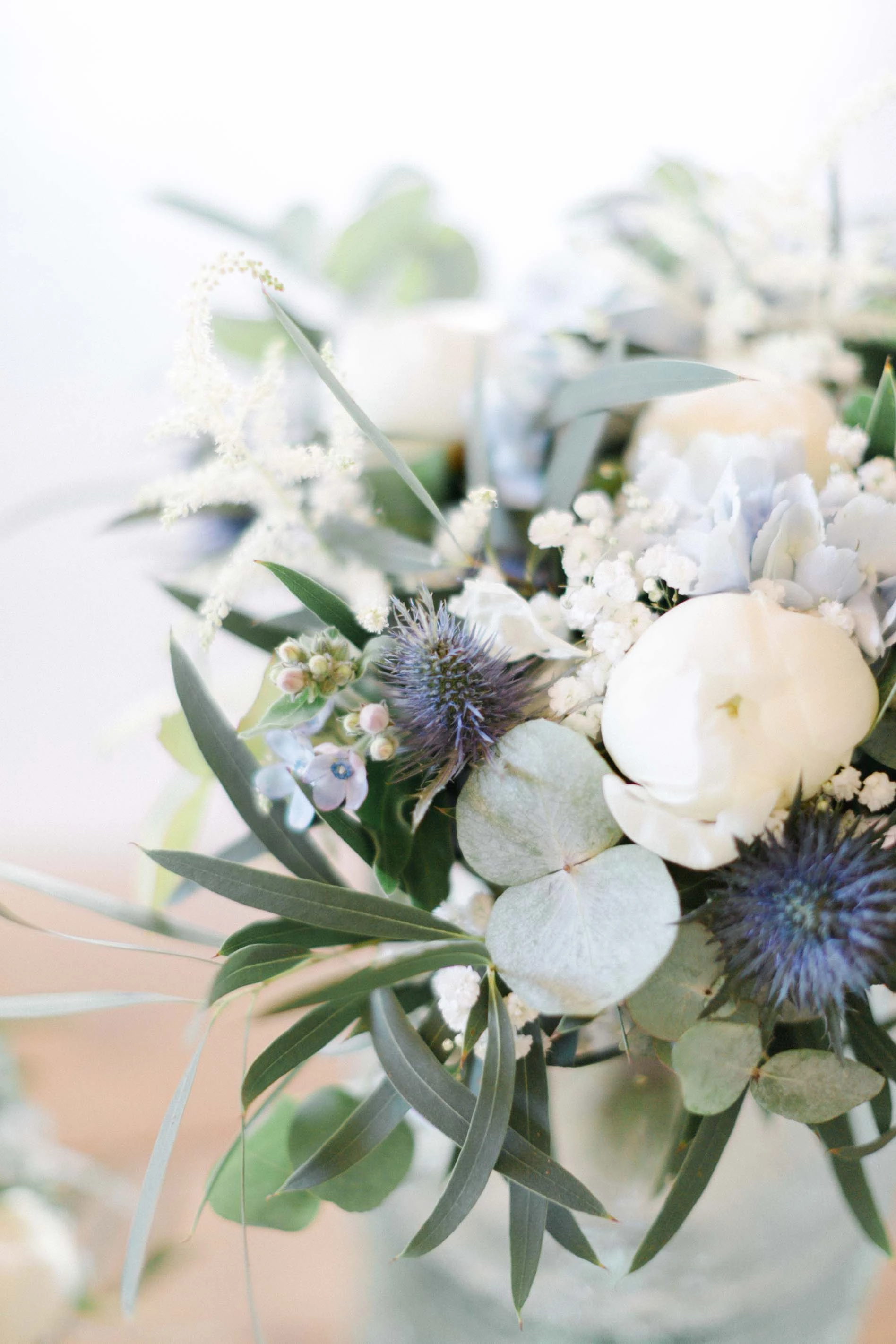 fleur pétale composition florale échinops gris